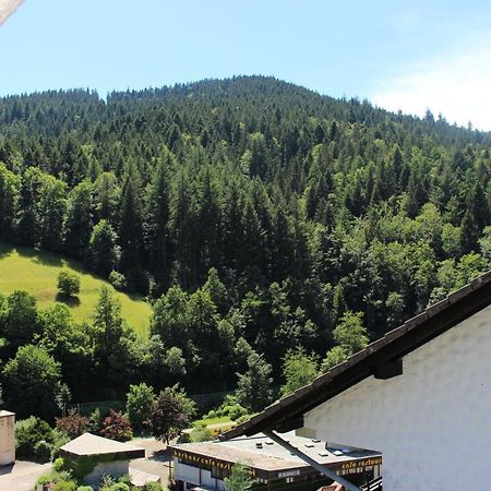 Ferienwohnung Schwarzwaldblick Bad Rippoldsau-Schapbach Exterior photo