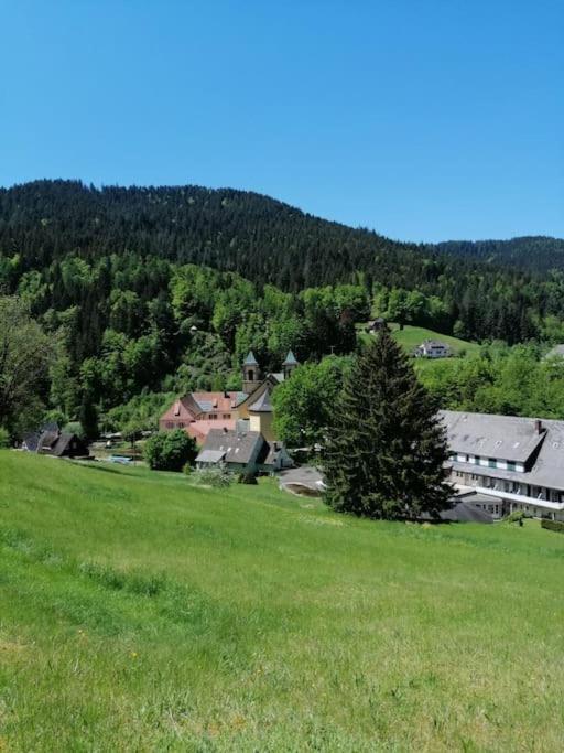 Ferienwohnung Schwarzwaldblick Bad Rippoldsau-Schapbach Exterior photo