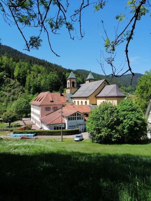 Ferienwohnung Schwarzwaldblick Bad Rippoldsau-Schapbach Exterior photo