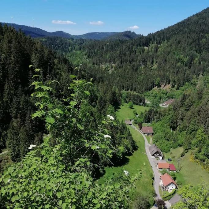 Ferienwohnung Schwarzwaldblick Bad Rippoldsau-Schapbach Exterior photo